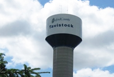 Tavistock Heights